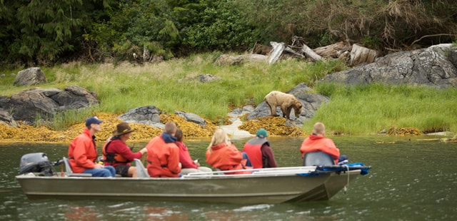 when to see bears in canada